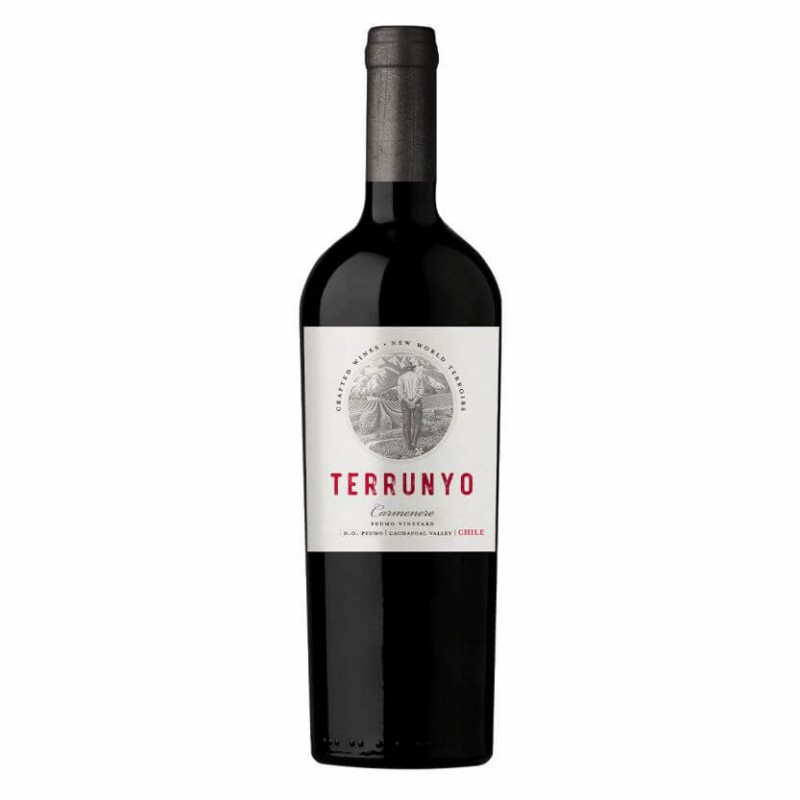 Terrunyo Tinto Carménère Concha y Toro