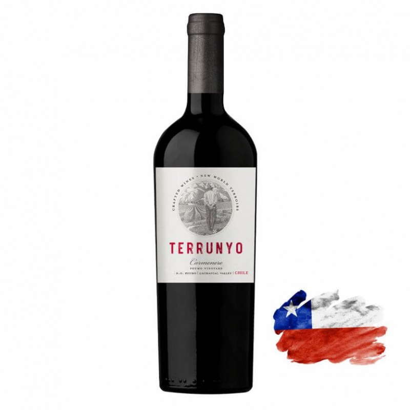 Terrunyo Tinto Carménère Concha y Toro